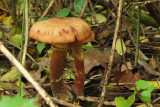 IMG_3057.JPG