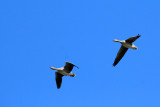 IMG_5573.JPG