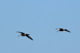 IMG_5579.JPG