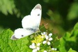 IMG_6232.JPG