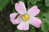 IMG_8402.JPG