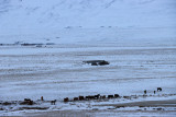 IMG_5940.JPG
