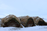 IMG_5942.JPG