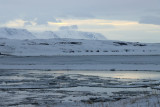 IMG_5960.JPG