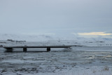 IMG_5990.JPG
