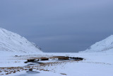 IMG_6037.JPG