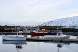 IMG_6143.JPG
