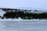 IMG_6255.JPG