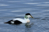 IMG_6263.JPG