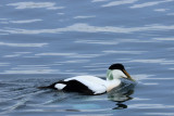 IMG_6269.JPG