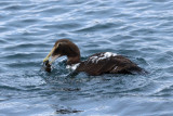 IMG_6272.JPG