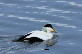 IMG_6274.JPG