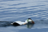 IMG_6285.JPG