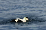 IMG_6290.JPG