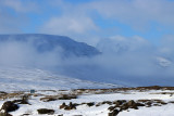 IMG_6366.JPG