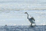 IMG_6408.JPG