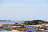IMG_6447.JPG