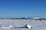 IMG_6449.JPG