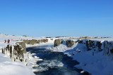 IMG_6487.JPG