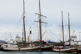IMG_6537.JPG