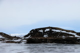 IMG_6582.JPG