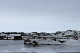 IMG_6586.JPG