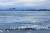 IMG_6657.JPG