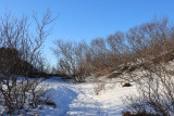 IMG_6708.JPG