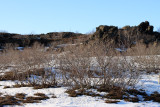 IMG_6740.JPG