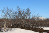 IMG_6750.JPG