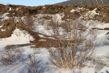 IMG_6754.JPG
