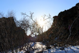 IMG_6763.JPG