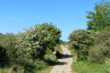 IMG_0560.JPG