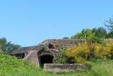IMG_0590.JPG