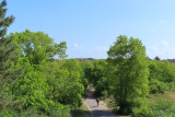 IMG_0741.JPG