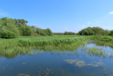 IMG_0785.JPG