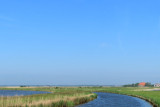 IMG_1132.JPG