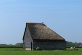 IMG_1134.JPG