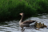 IMG_1267.JPG