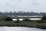 IMG_1334.JPG
