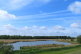 IMG_1338.JPG
