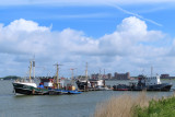 IMG_1384.JPG