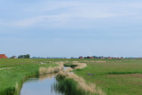 IMG_1513.JPG