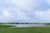 IMG_1596.JPG