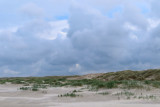 IMG_1606.JPG