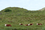 IMG_1766.JPG