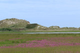 IMG_1776.JPG