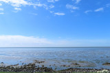 IMG_1784.JPG