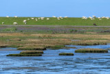 IMG_1788.JPG