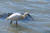 IMG_1846.JPG